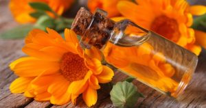 Huile essentielle de calendula
